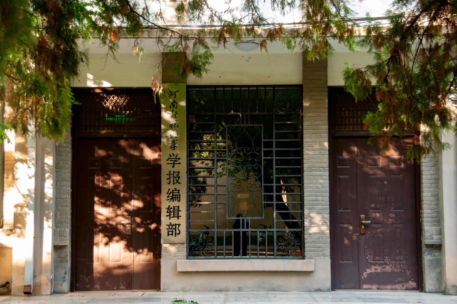 校园中的秋，照片 1