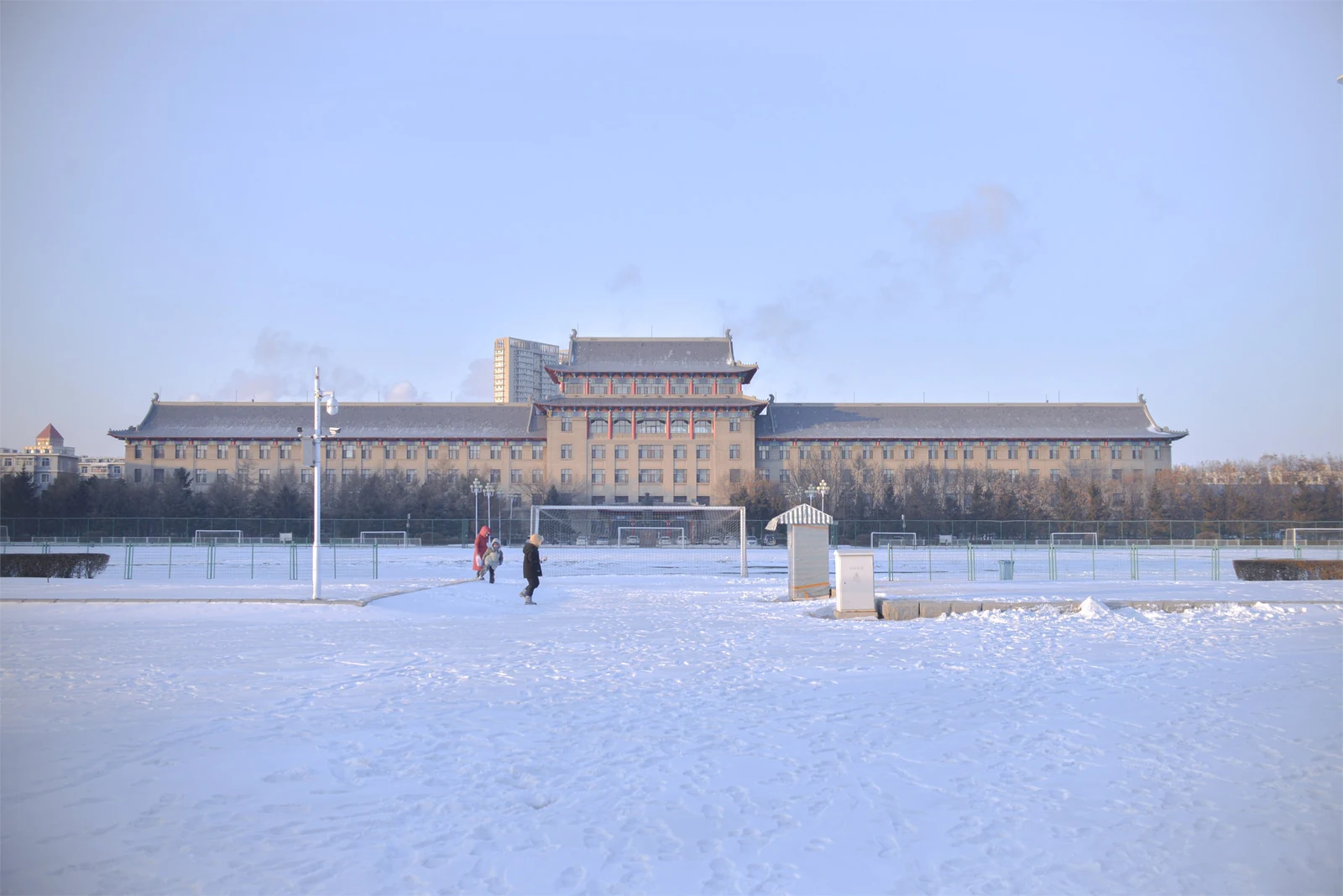 志愿日子里的雪光：哈尔滨冬日散记，照片 3