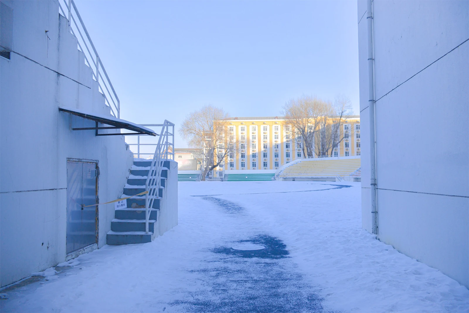 志愿日子里的雪光：哈尔滨冬日散记，照片 4