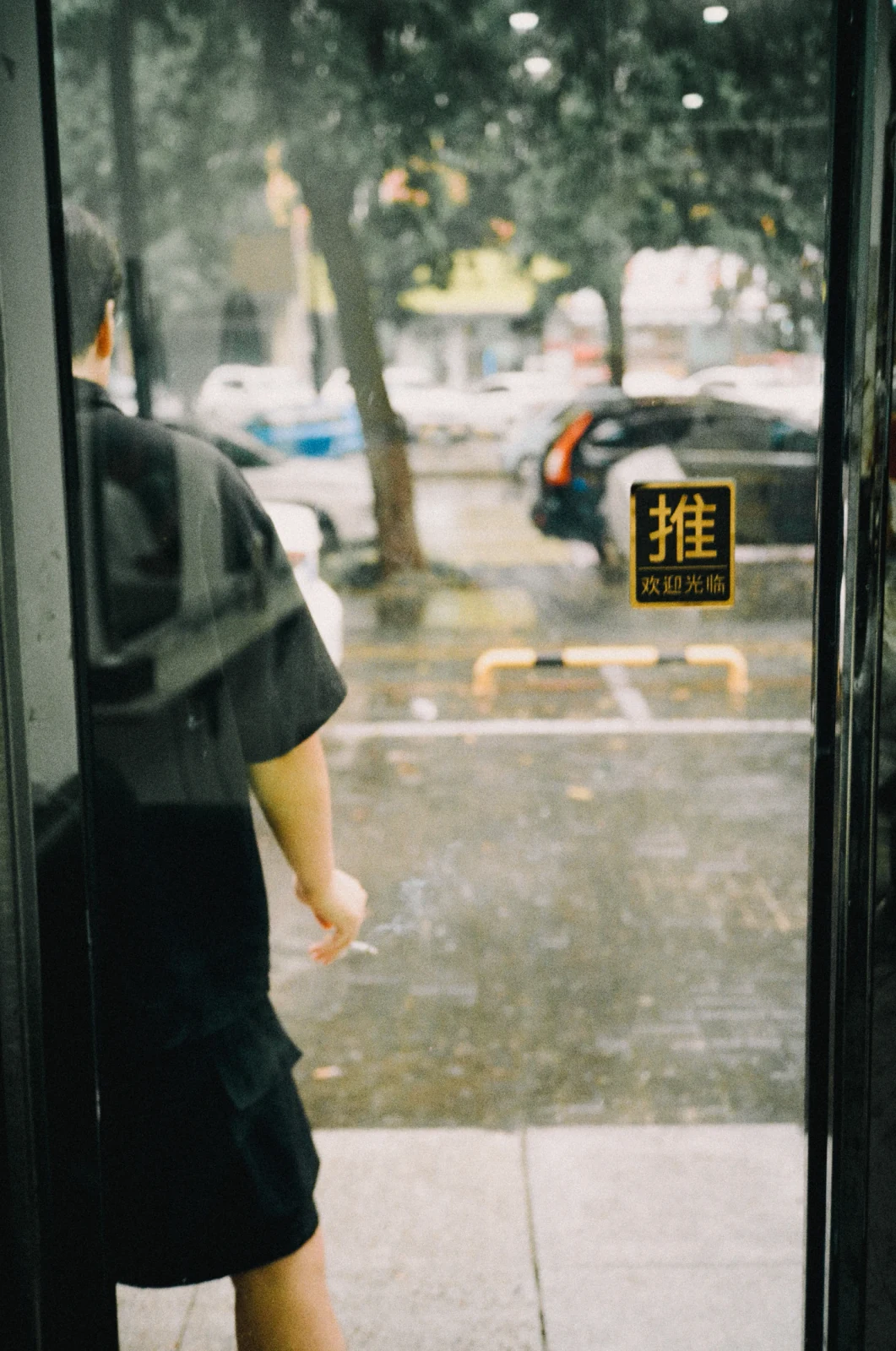 旧地同行：柯达金200，照片 3