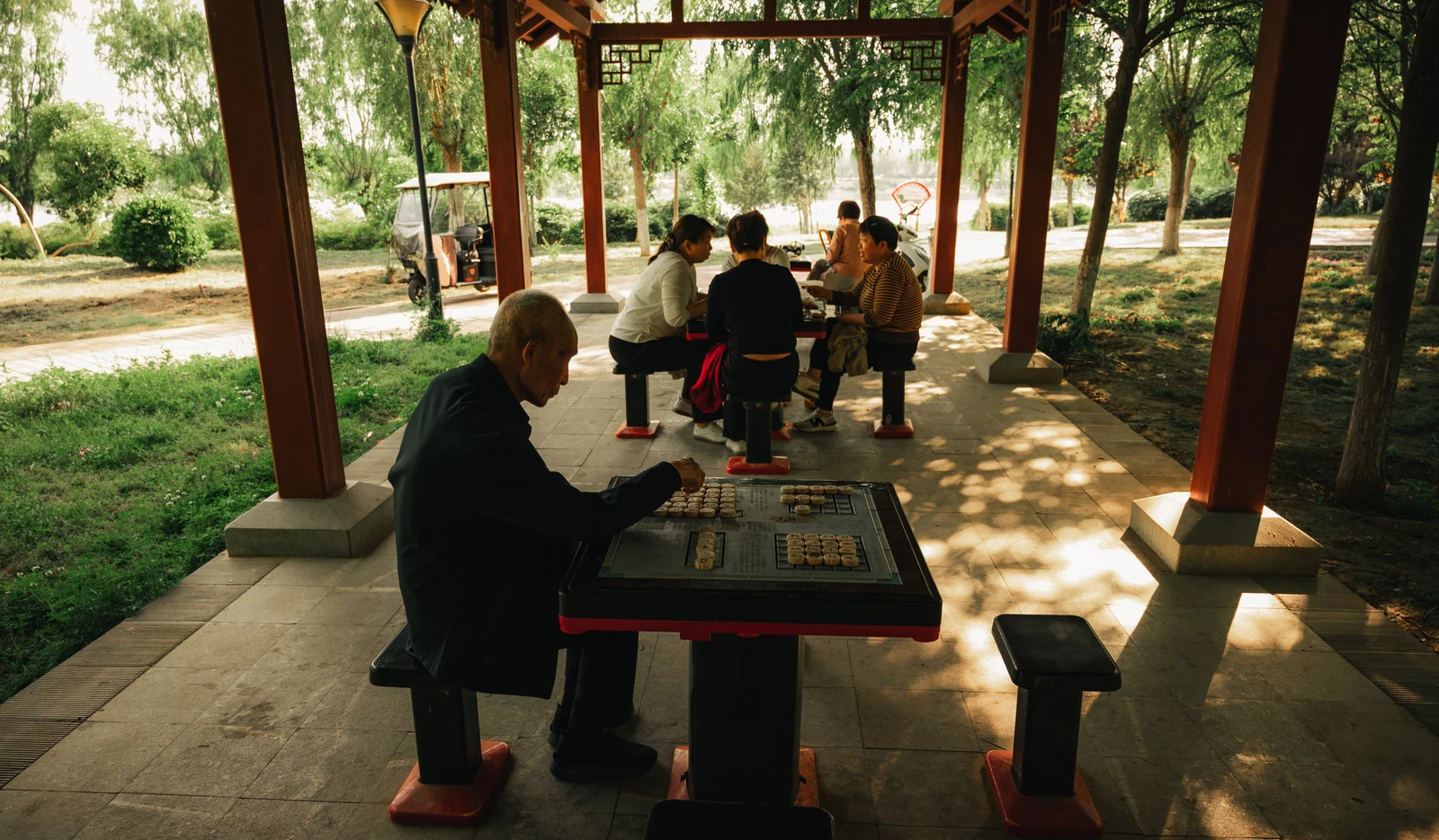 偃师的四月：树荫下的日常，照片 4